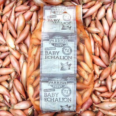 4kg Baby (20-35mm) Banana Shallots - UK Grown Echalions