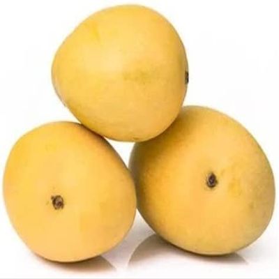Veena's Banganabali Mango Approx 1500G Box 4 to 6 pcs Juicy Fresh Summer Fruit Indian Origin