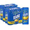 Anjoman Rani Float Pineapple Drink with Real Fruit Chunks 235ml (Pack of 12) | Tropical Pineapple Juice with Real Fruit Bits | Refreshing Soft Drink view 1