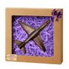 Chocolate Airplane Gift Box | Handmade 3D Milk Chocolate Plane | Gift Box for Travel or Aviation Lovers view 1