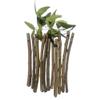 12 Pcs Natural Organic Neem Datun Stick for Teeth | Manual Toothbrush Nim Tree Twigs Chew Sticks for Brushing Teeth Removes Bad Breath - for Adults Kid Men Women All view 1