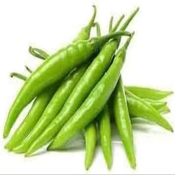 Veena's Fresh Green Chilli Indian 200G Spicy 100% Fresh Vegetable Indian Origin