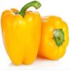 Veena's Paprica Yellow 1KG Yelow Capsicum 100% Fresh Vegetable Indian Origin view 1