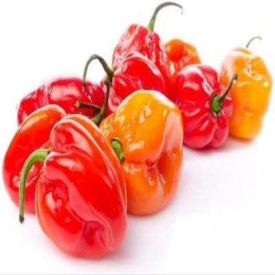 Veena's Fresh Hot Red Pepper 500G 100% Fresh Vegetable Indian Origin