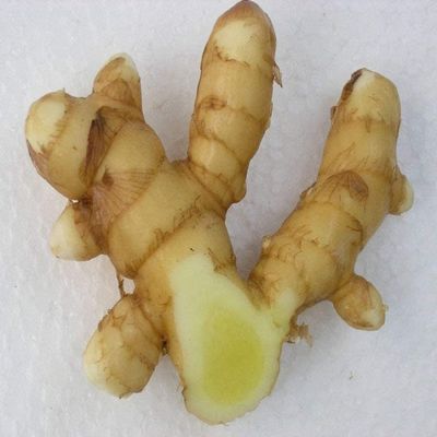 Veena's Fresh Mango Ginger 500G 100% Fresh Vegetable Indian Origin