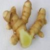 Veena's Fresh Mango Ginger 500G 100% Fresh Vegetable Indian Origin view 1