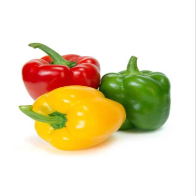 Veena's Fresh Mixed Paprica Pack 500G Capsicum 100% Fresh Vegetable Indian Origin