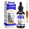 L-Lysine for Cats | 60ml Cat Supplements for Healthy Immune Defenses Sneezing, Runny Nose, Watery Eye Feline Respiratory & Vision, Skin & Coat Health Astragalus, Burdock Roast Chicken (1)