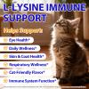 L-Lysine for Cats | 60ml Cat Supplements for Healthy Immune Defenses Sneezing, Runny Nose, Watery Eye Feline Respiratory & Vision, Skin & Coat Health Astragalus, Burdock Roast Chicken (1) view 2