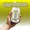 King of Kefir Hopped Culture - Water Kefir Drink Organic - Vegan - Gluten-Free - 6 x 330ml Cans view 4