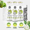 OORG Natural Sri Lankan Soursop Fruit Juice - 6 x 250ml bottle, A healthy & refreshing hydrating beverage, 100% fruit ingredients, No Preservatives (6 Bottles, Soursop) view 2