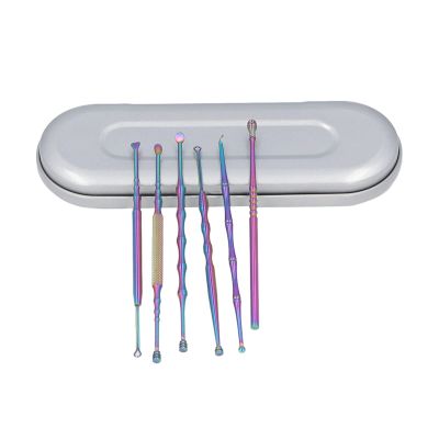 Pilipane Ear Cleaning Kit Stainless Steel Glossy Polished Spoon Shaped Ear Wax Removal Tool with Portable Case for Home Travel (Multicolor)