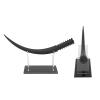 False Eyelash Model 3D Simulation False Eyelashes Display Ornaments High Simulation Enlarged 300X for Eyelash Salon Training School Thickened Plastic Material 25x18cm view 2