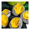 ITCLEYMDZV 100-150g 1pc of Yellow geode geode eggs view 4