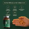 Revitalise CoQ10 & Coenzyme Q10 Antioxidant Complex with Lutein, Zeaxanthin, Resveratrol, Grapeseed OPC, Selenium, Vitamin C & E, Energy, Eye & Cell Support, Vegan, 60 Capsules | NutraSource view 2