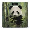Curious Baby Panda Digital Bathroom Scale for Body Weight with High Precision Digital Weighing Scale with BMI Clear LCD Display and Step-On Measures Weight Up to 180kg view 1