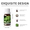 10ml Essential Oils (Wormwood) view 3