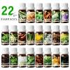 10ml Essential Oils (Wormwood) view 4