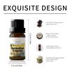 10ml Essential Oils (Osmanthus Fragrans) view 3