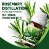 10ml Essential Oils (Rosemary) view 2