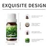 10ml Essential Oils (Rosemary) view 3