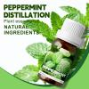 10ml Essential Oils (Peppermint) view 2