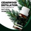 10ml Essential Oils (Cedarwood) view 2