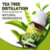 10ml Essential Oils (Tea Tree) view 2