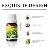 10ml Essential Oils (Tea Tree) view 3