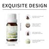 10ml Essential Oils (White Musk) view 3