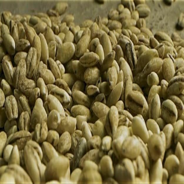 Fakhri Green Coffee Beans 1kg Fresh Raw Unroasted Arabica Beans for Home Roasting, Healthy Brewing & Creating Custom Roast Profiles