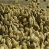 Fakhri Green Coffee Beans 1kg Fresh Raw Unroasted Arabica Beans for Home Roasting, Healthy Brewing & Creating Custom Roast Profiles view 1