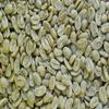 Fakhri Green Coffee Beans 1kg Fresh Raw Unroasted Arabica Beans for Home Roasting, Healthy Brewing & Creating Custom Roast Profiles view 3