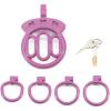 Adjustable Male Flat Cage With 4 Size Rings, Special Training Cage For Male D9Purple view 3