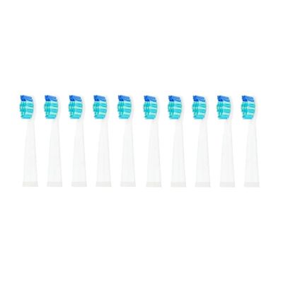 10Pcs Replacement Brush HeadsCompatible for Toothbrush FW/SG 507/508/515/551/917/959/908(10pcs White)