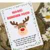 10 X Eco Friendly Magic Reindeer Food for Pupils | Personalised End of Term Christmas Seed Packet from Teacher | Reindeer Dust Bird Seed & Oats (No Glitter) | UK Made Mini Packet view 4