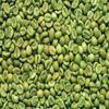 Fakhri Dubai Green Coffee Unroasted 2kg Premium Raw Beans for Home Roasting, Rich Flavour & Fresh Aroma view 4