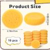 16Pcs Sponges, Round Natural Paint Sponges Cleaning Sponge for Face Paint & Pottery, High Absorption Soft Yellow Art Sponge for Pottery, Kitchen, Shoes, Leather Care & Painting view 2