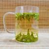 Dragonwell Longjing Tea(Ming Qian) Fresh Dragon Well Green Tea Leaf Picked Before Qingming125g/4.4oz view 4