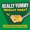 Feasts Chicken & Garlic Rigatoni Pasta Ready Meal, 250g, Serves 1,Pack Of 3 view 2