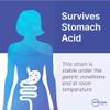 Microbiome Labs EpicDefense Advanced Immune Support Supplement, 30 Caps view 3