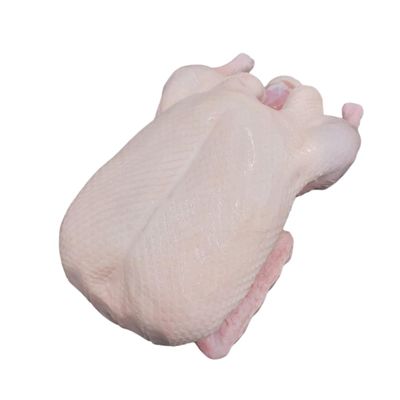 Freshly Frozen Whole British Duck | 2~2.5 kg