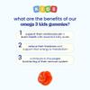 Jelly Pills Omega 3 Gummies for Kids with DHA from Microalgae - 70 Gummies 2-Month Course - No Added Sugar - Orange Flavour - Brain, Concentration & Vision Support view 4