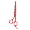 6 Inch Stainless Steel Beard Trimming Scissors, Barber Scissors for Hair Cutting, Professional Mustache Scissors with Comfortable Handle, Adjustable Tension for Home Salon and Pers (Red) view 1