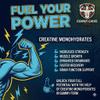 Creatine Gummies 5000mg Creatine Monohydrate per Serving (1000mg per Gummy) Vegan, Sugar Free Gym & Training Support for Men & Women 60 Count (Blueberry) view 4