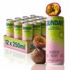 Junday Bamboo Water Passion Fruit - Sparkling Flavoured Functional Water Can - Natural Tropical Drink with Bamboo Extract Vitamin C Collagen Support Low Sugar Low Calorie Vegan Hydration Pack of 12 view 1
