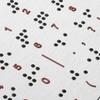 HOODANCOS Braille Alphabet Board with Raised Dots and Punctuation for Beginners 2pcs Interactive Learning Tool, Aluminium-Plastic Panel for Blind Children, Suitable for Home and School Use view 3