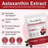 Astaxanthin 12mg Triple Strength from Microalgae, 120 Softgels, 4 Month Supply | Premium Antioxidant Supplement, Supports Eye, Joint, Internal Circulation, Skin & Immune Health view 2