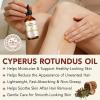 Cyperus Rotundus Oil for Hair Removal, Cyperus Rotundus Oil 60 ml, Inhibits Hair Growth, Reduces Body Unwanted Hair Growth, Shrink Pores, Hydrates, Soothes and Repairs Skin (60ml (Pack of 2)) view 2