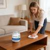 Dust Removal Box, Portable Long Lasting Filtration 120g, Air Freshener with Dust Collection Box, for Indoor Rooms Offices Souls Areas view 3